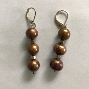 Dangle Earrings (brown/silver beads)